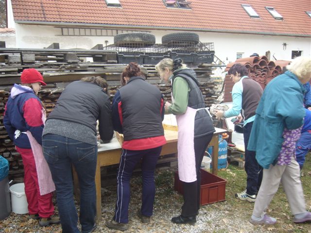 P1050264