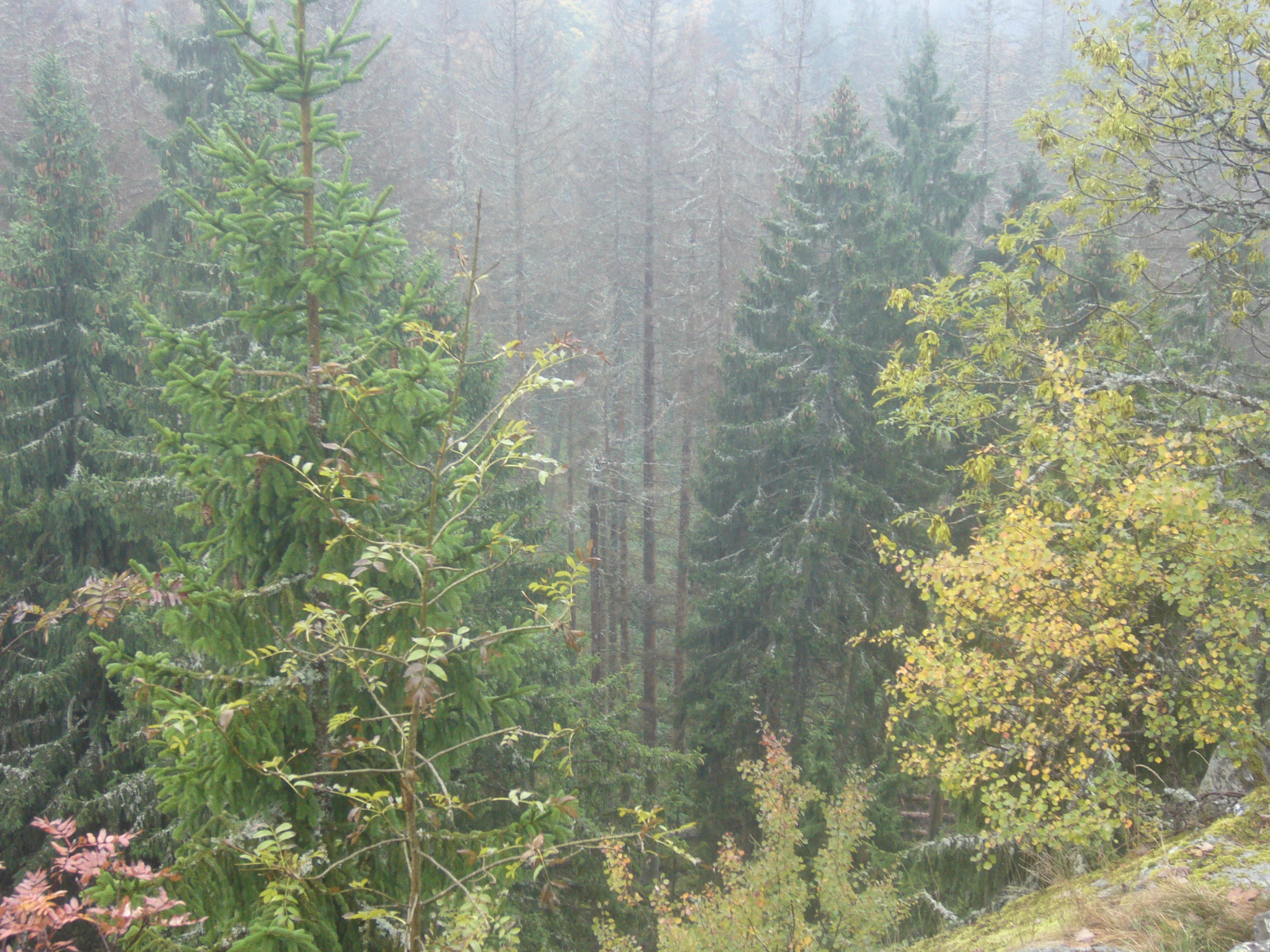 P1050077.JPG